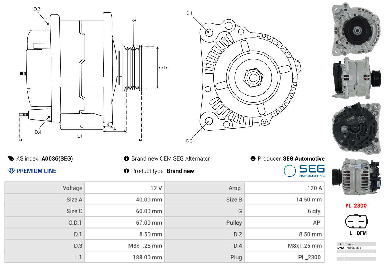 A0036(SEG)_256960