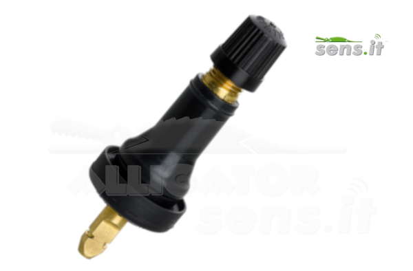 Valve TPMS
