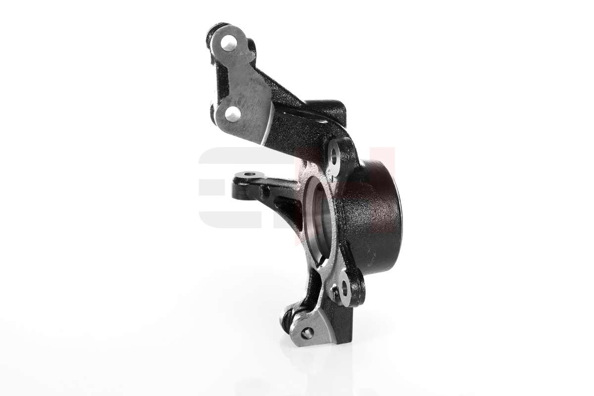 GH-293994V_2