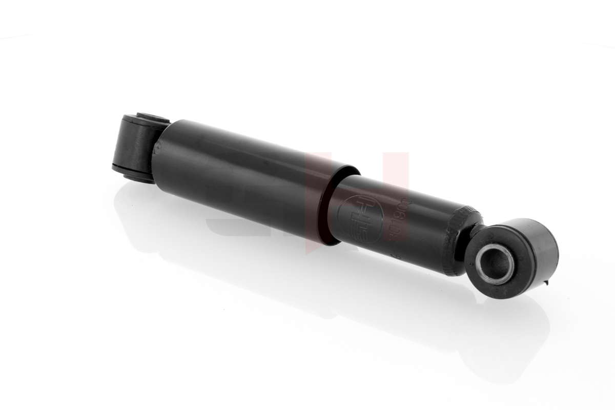 GH-301900_4
