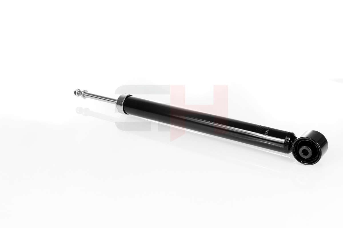 GH-304325_4