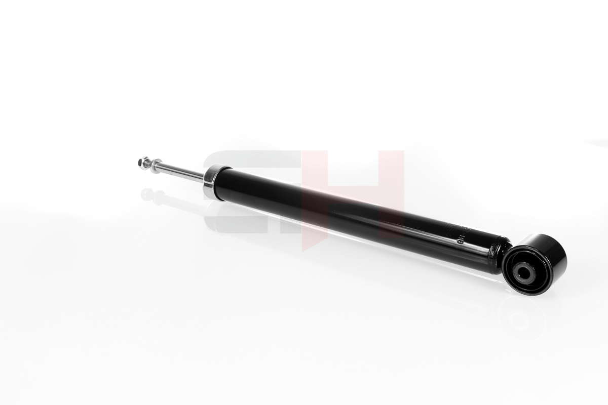 GH-304778_4
