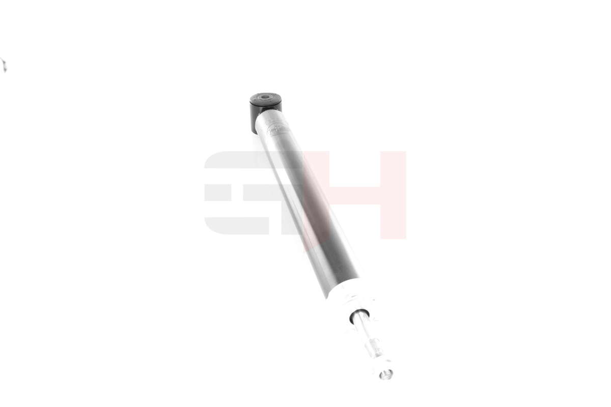 GH-309915_2