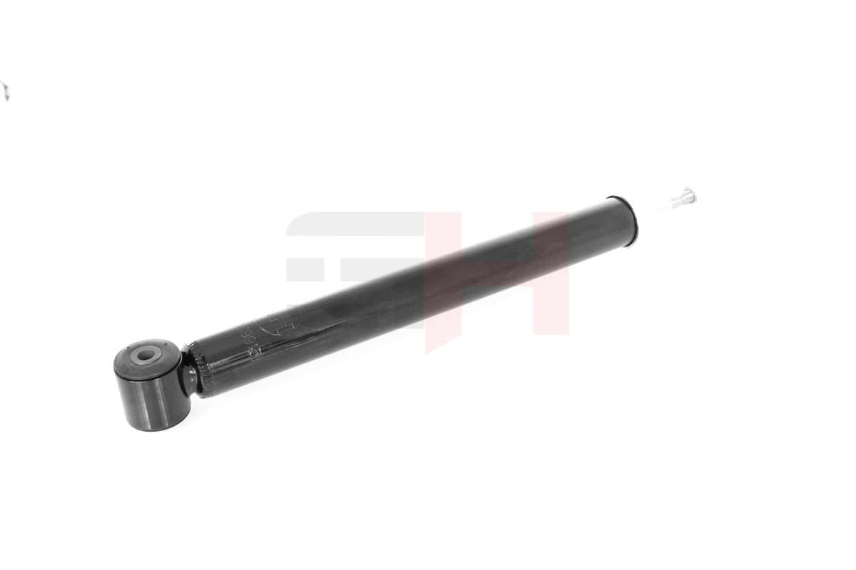 GH-309915_3