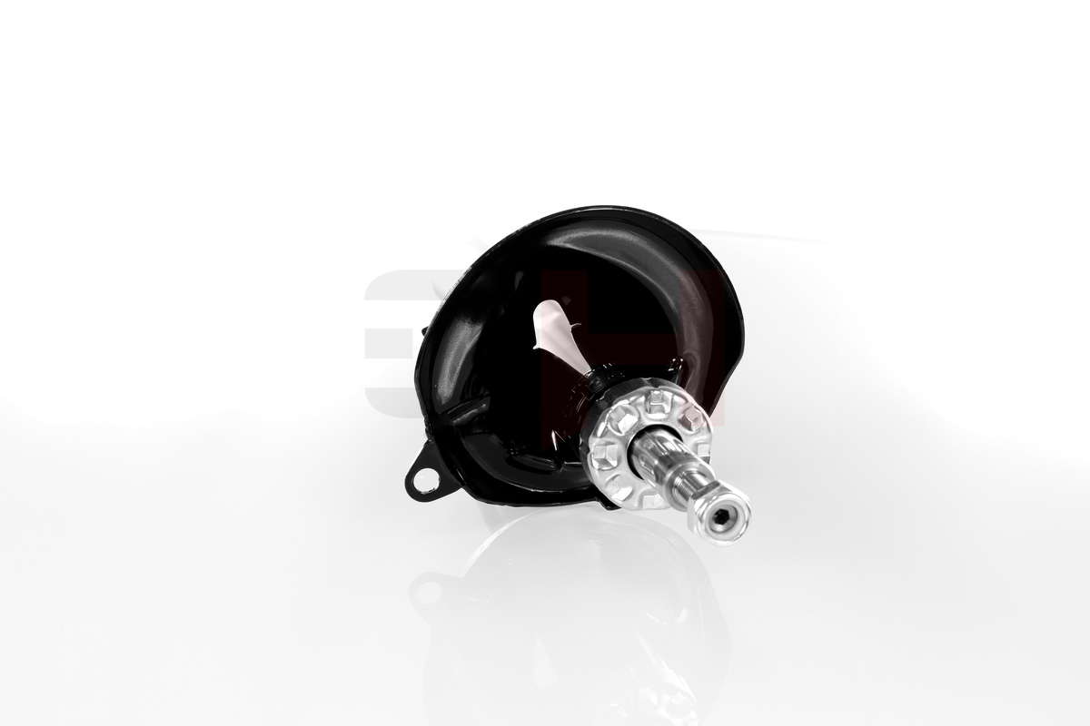 GH-324710_2