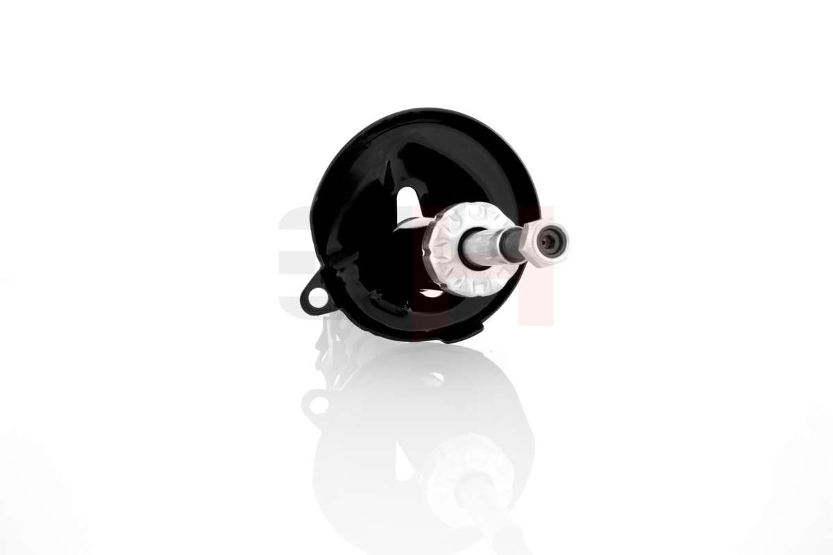 GH-329950_2