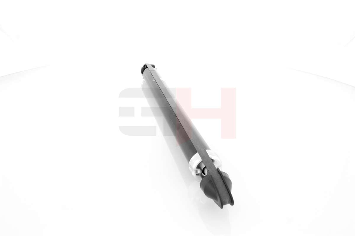 GH-332550_2