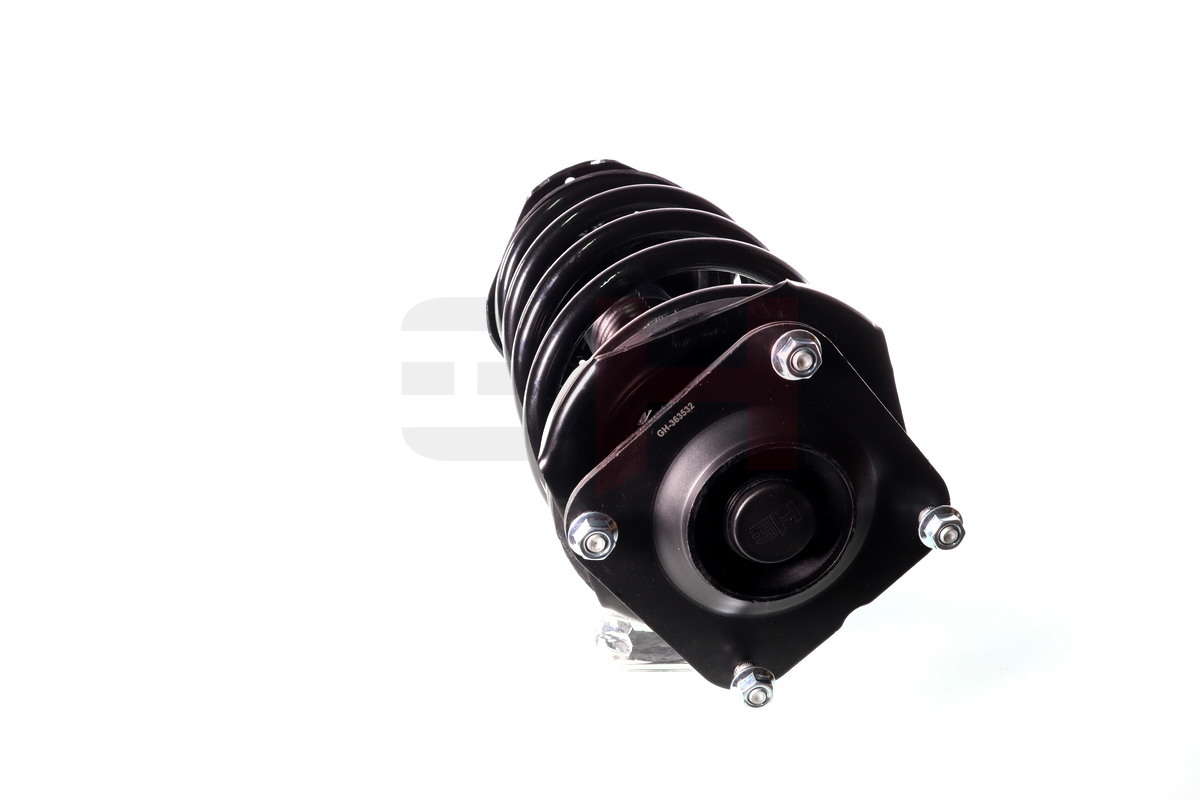 GH-353532C00_2
