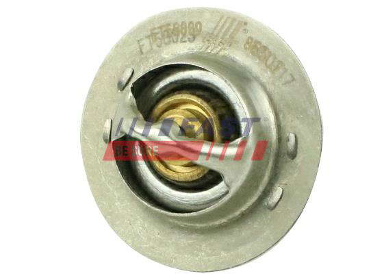 Thermostat d'eau