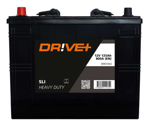 Batterie 12V 125AH 800A +G