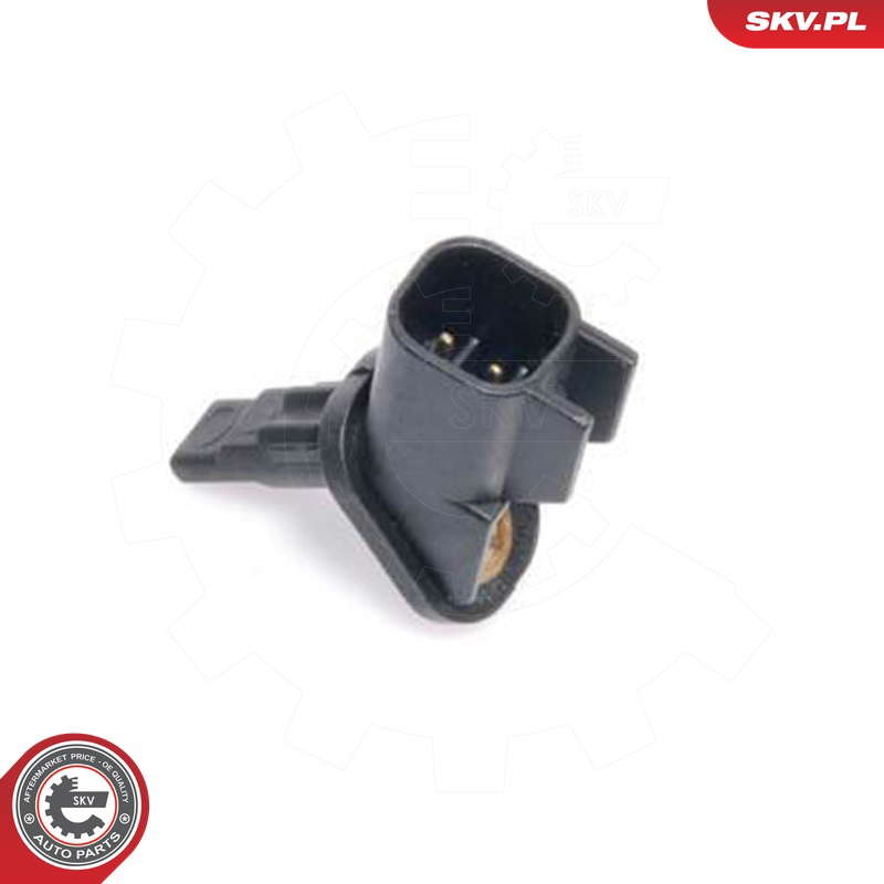 06SKV001_PROD_02