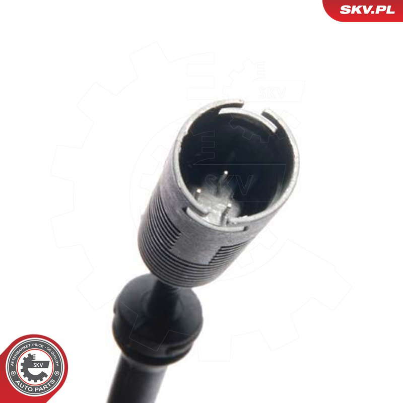 06SKV011_PROD_02