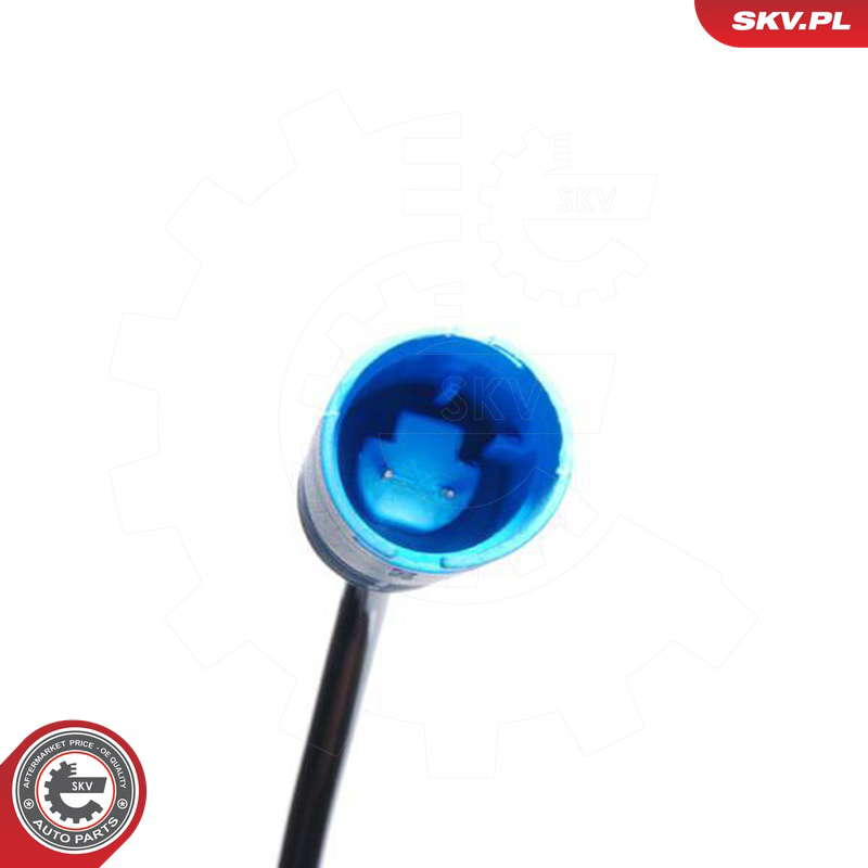 06SKV020_PROD_02