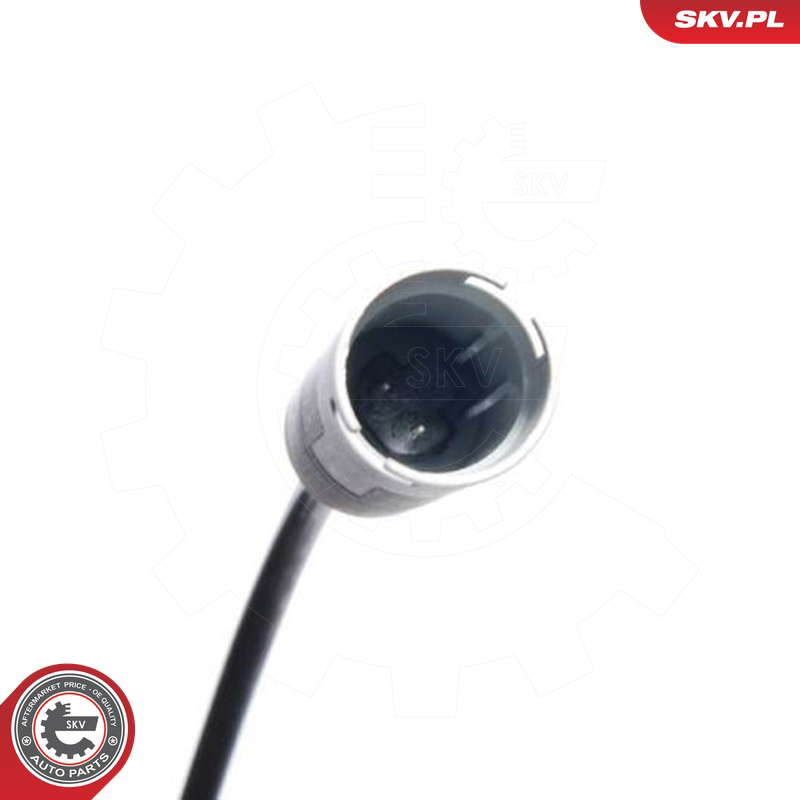 06SKV032_PROD_02
