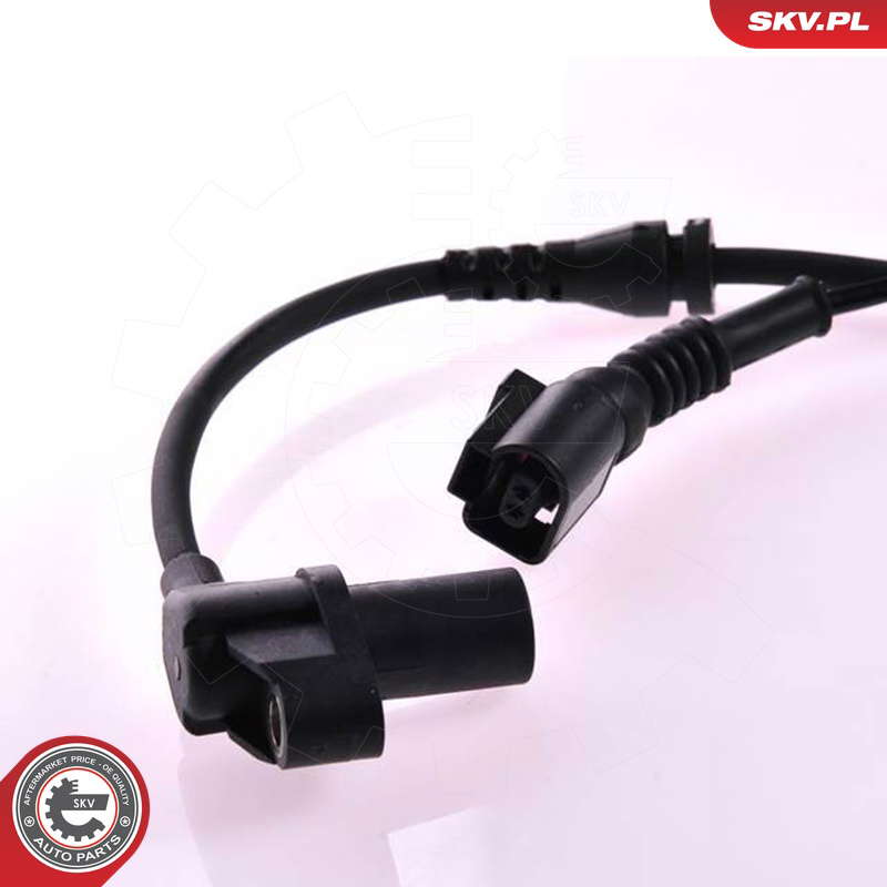 06SKV038_PROD_03