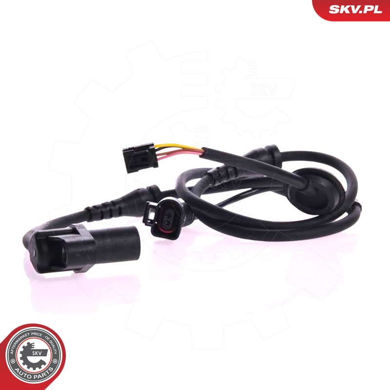 06SKV038_PROD_05