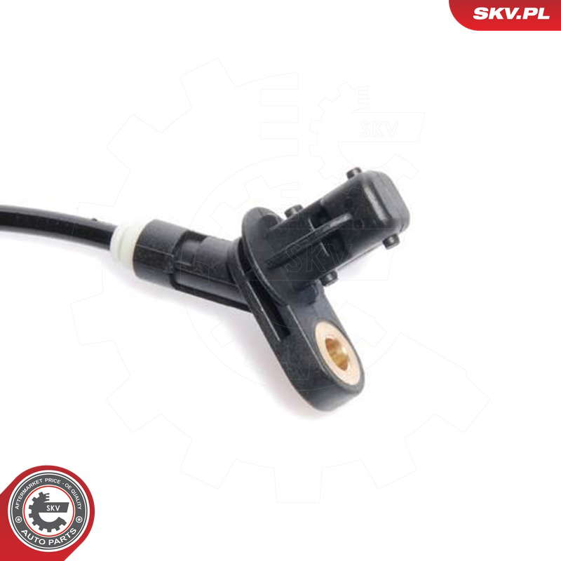 06SKV042_PROD_02