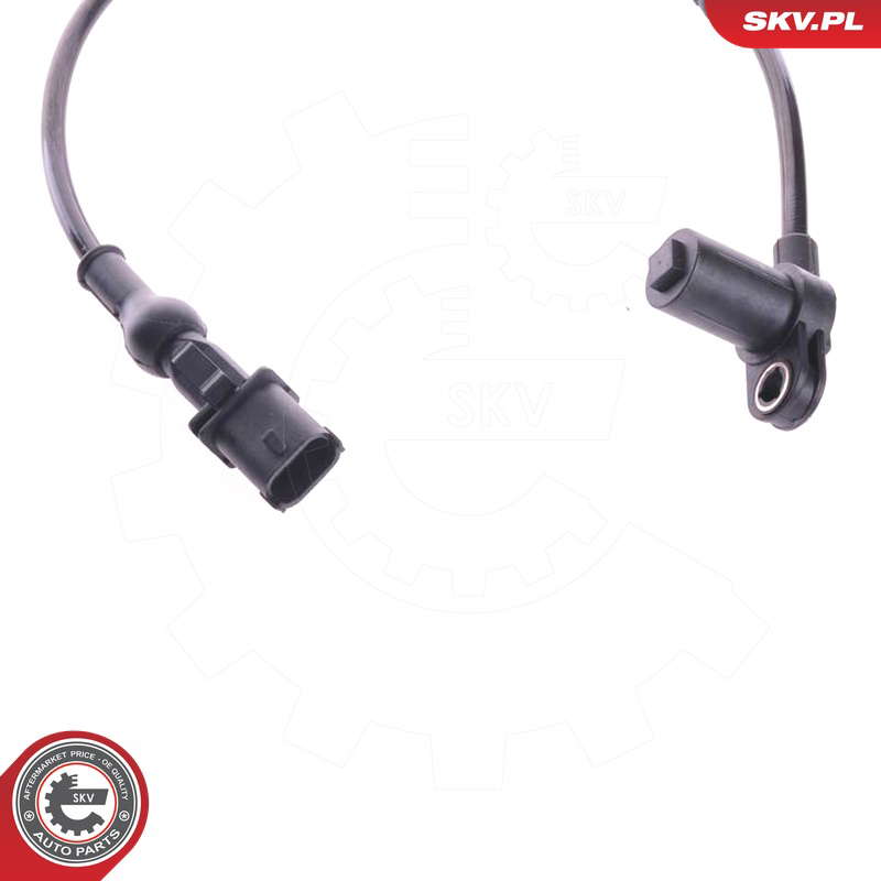 06SKV044_PROD_04