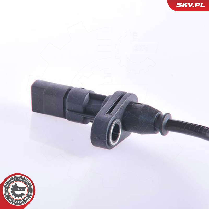 06SKV066_PROD_02