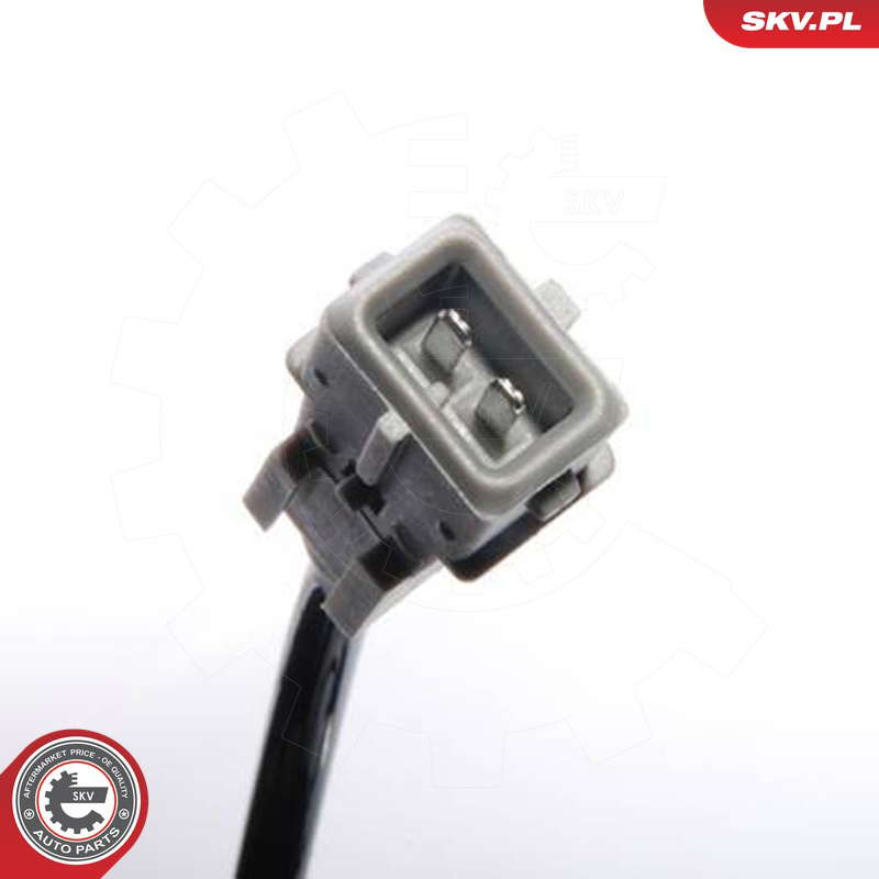 06SKV086_PROD_02