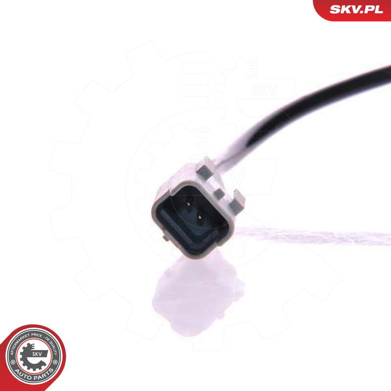 06SKV098_PROD_02