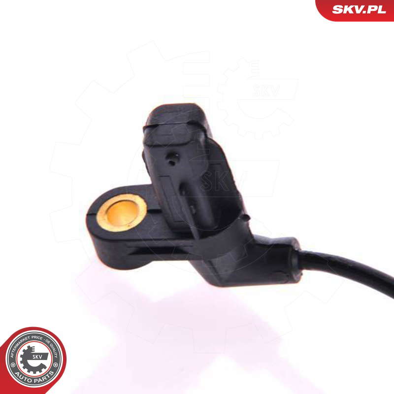 06SKV100_PROD_03