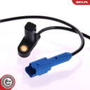 06SKV100_PROD_04