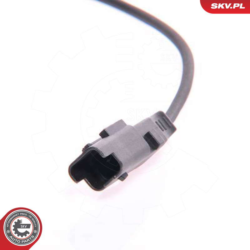 06SKV105_PROD_02