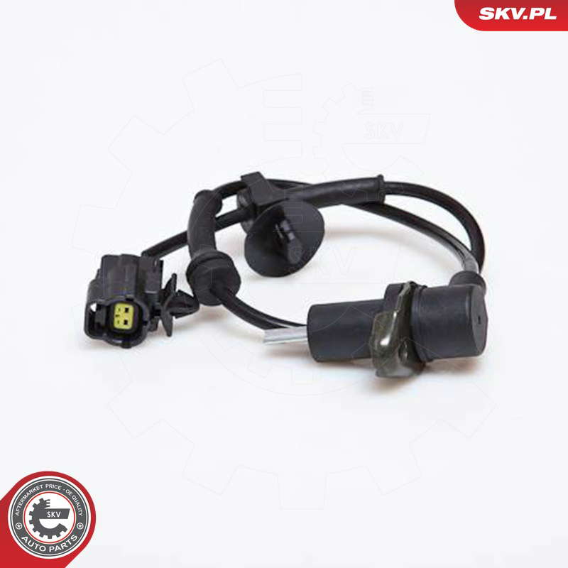 06SKV164_PROD_02