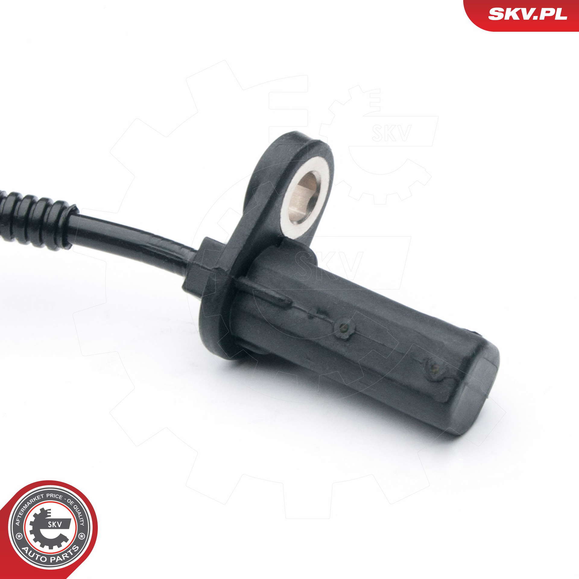 06SKV279_PROD_02