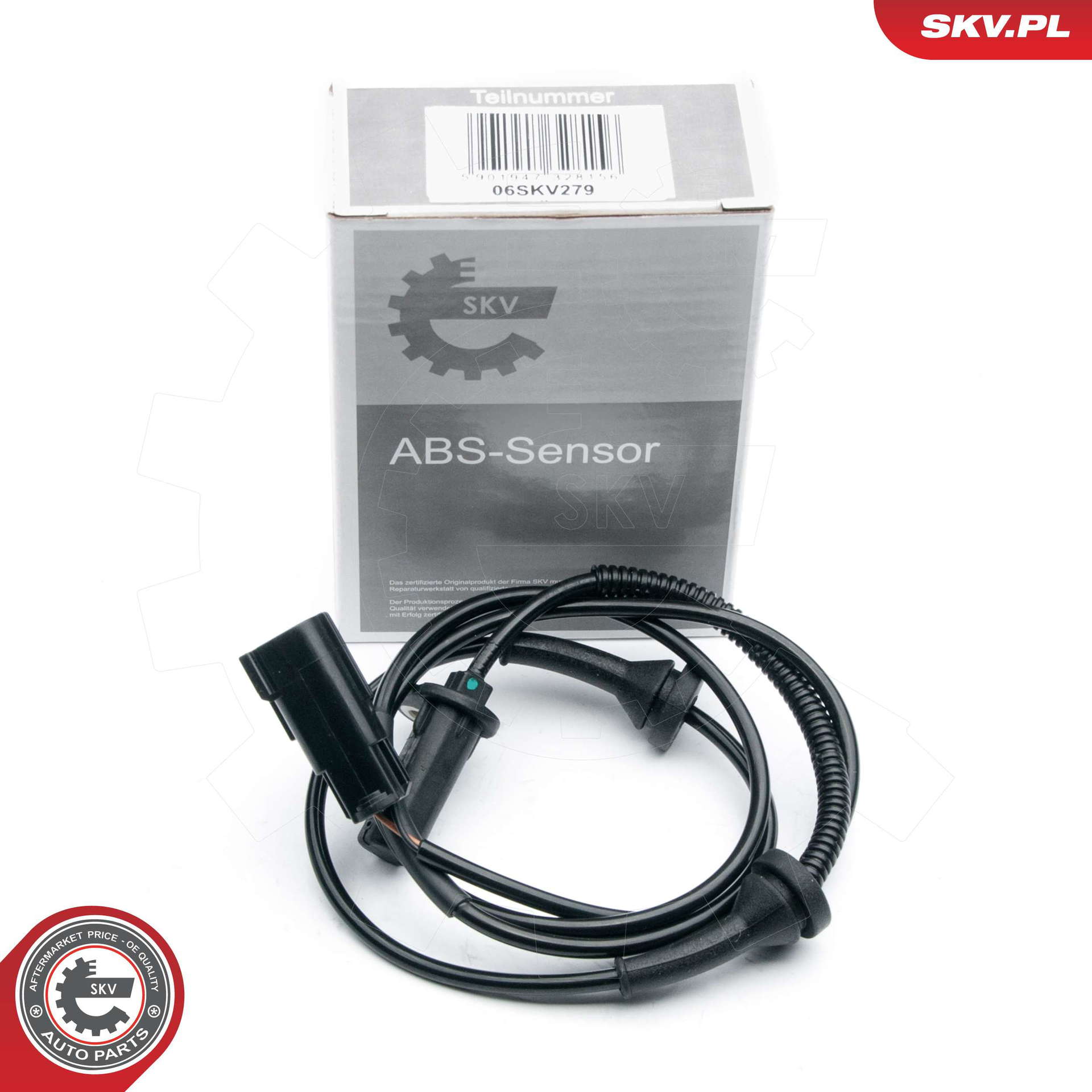 06SKV279_PROD_04