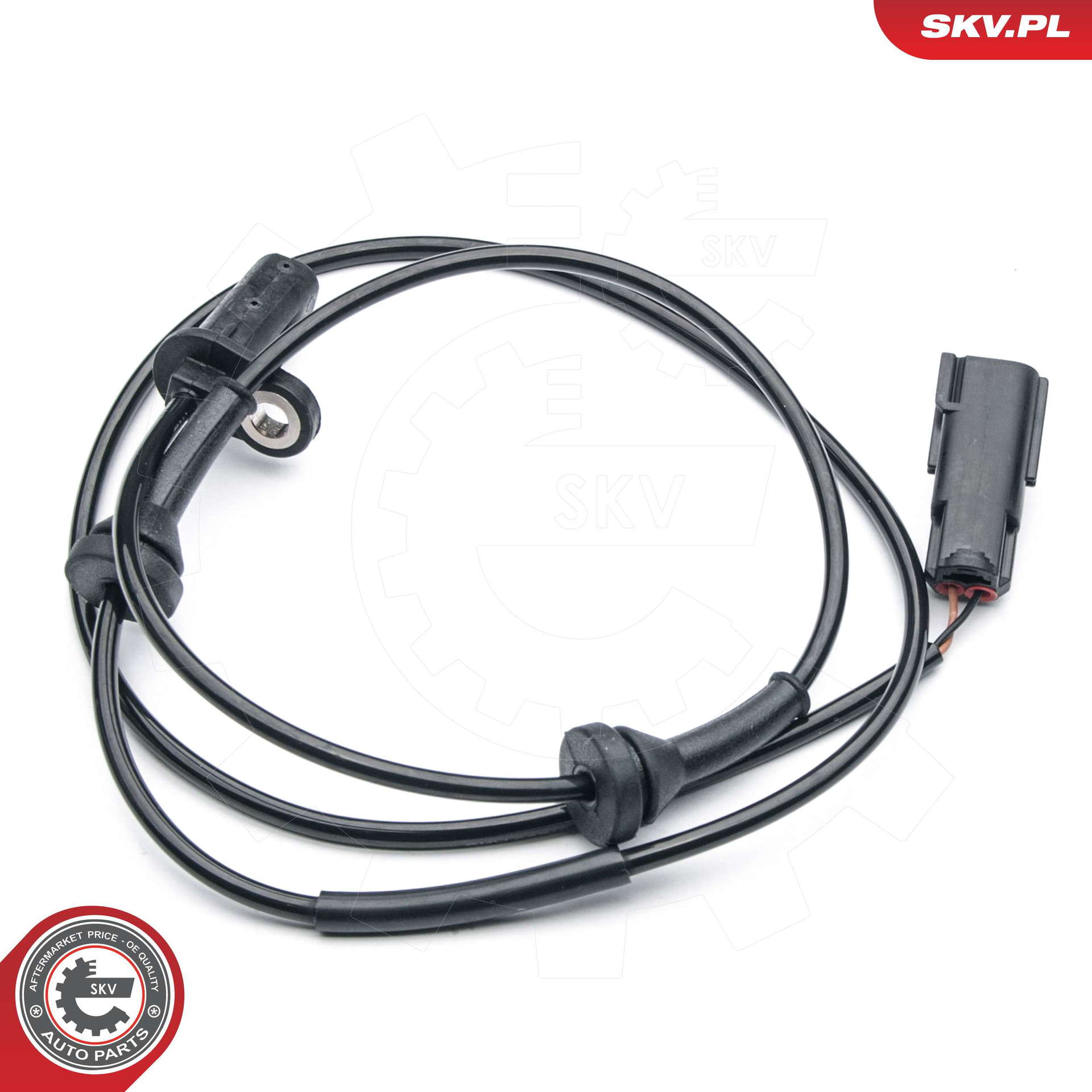 06SKV288_PROD_01