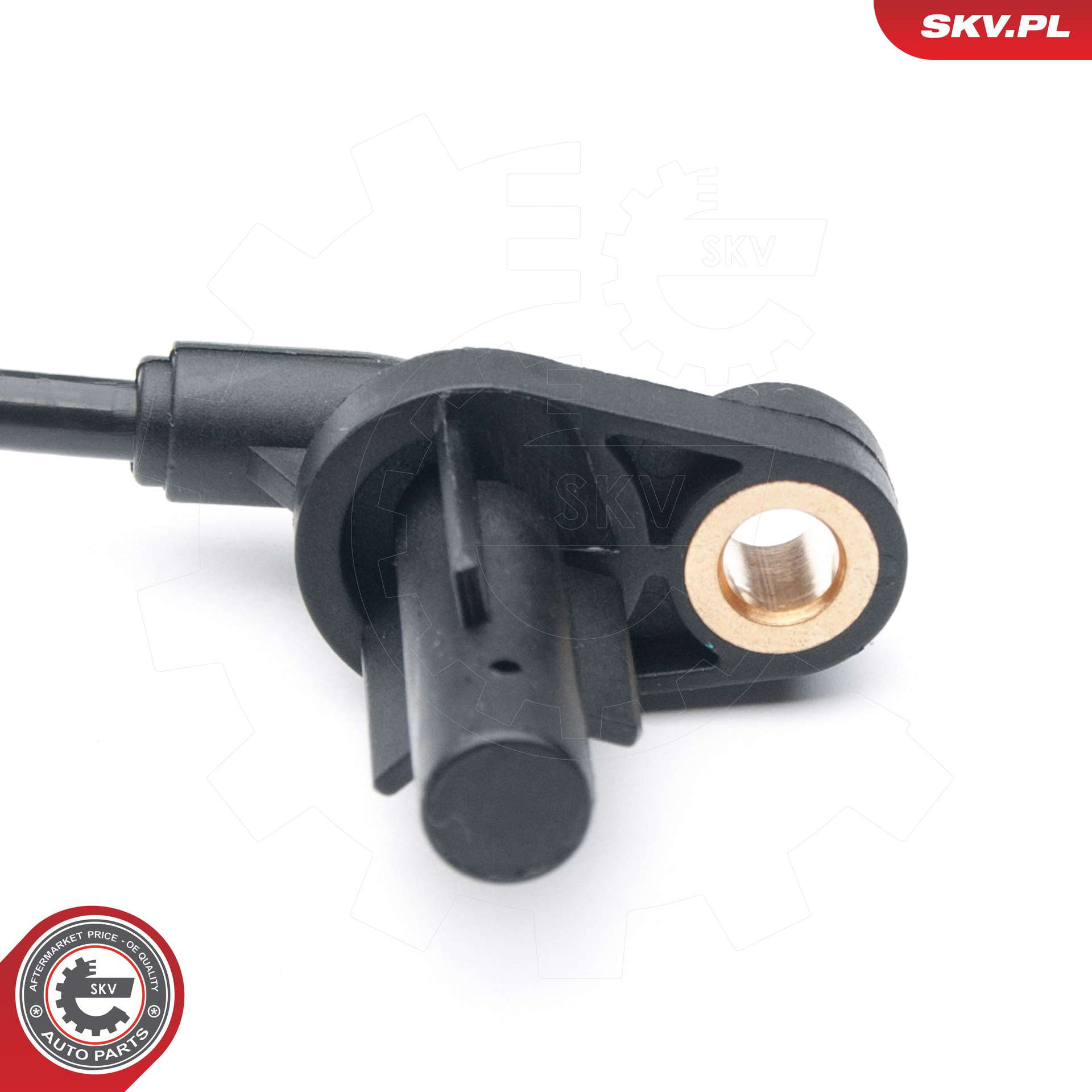 06SKV291_PROD_02