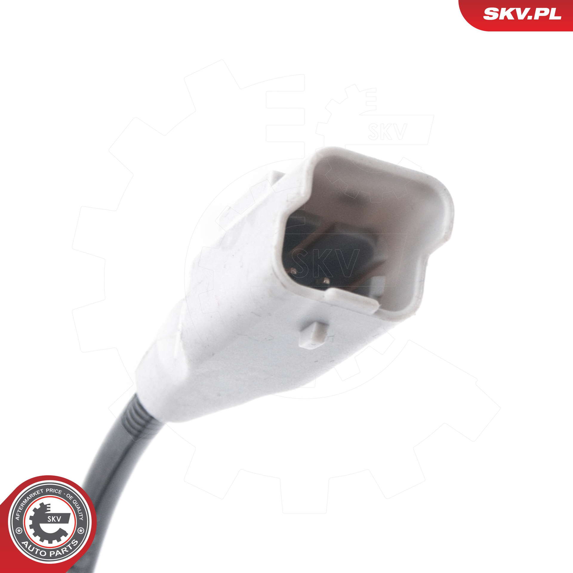 06SKV291_PROD_03