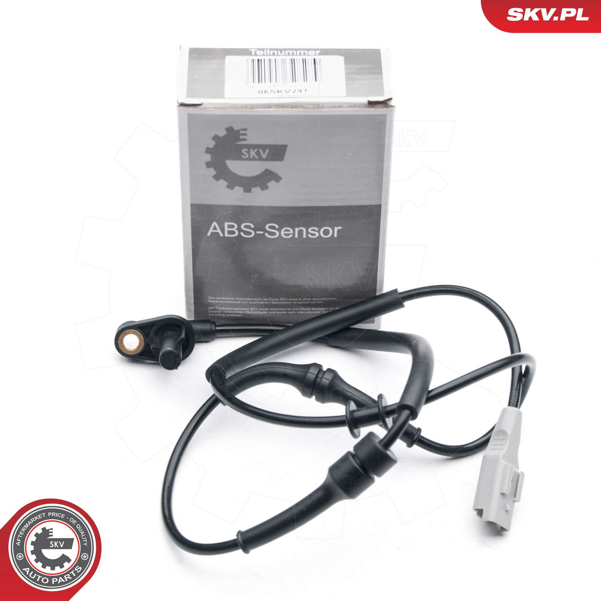 06SKV291_PROD_04