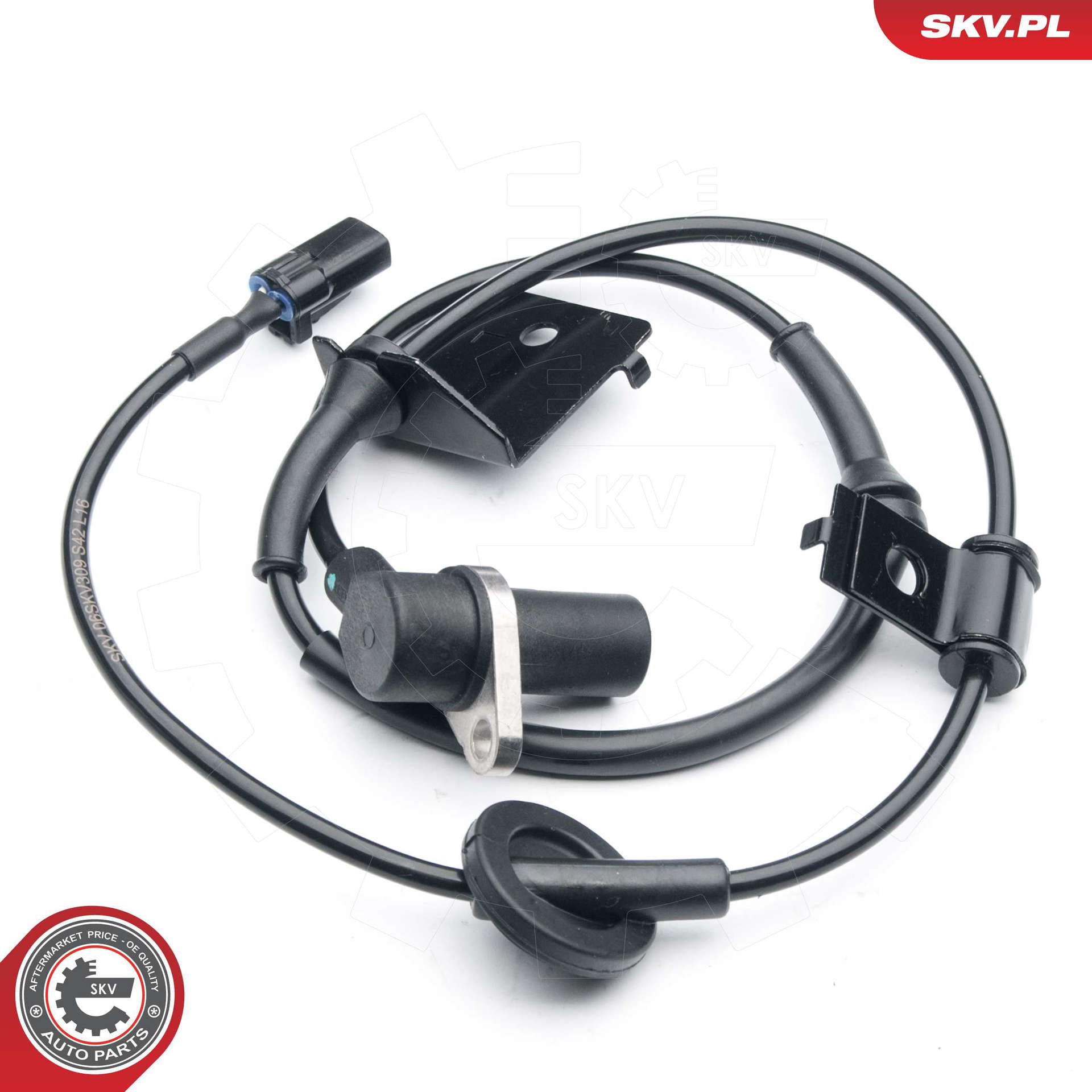 06SKV309_PROD_01