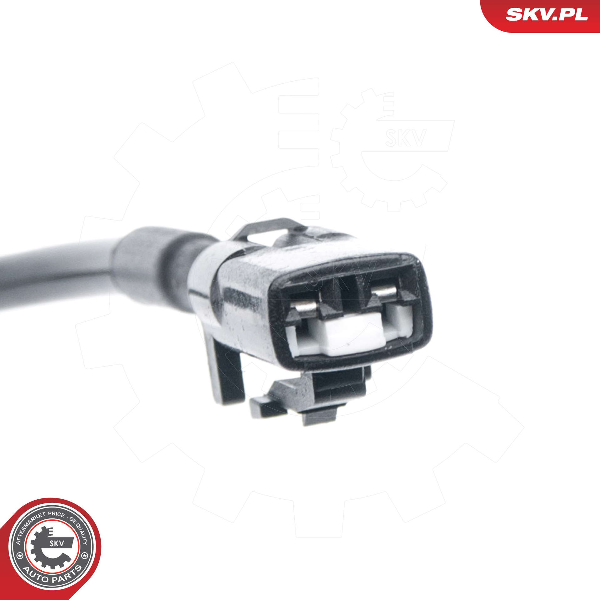 06SKV309_PROD_02
