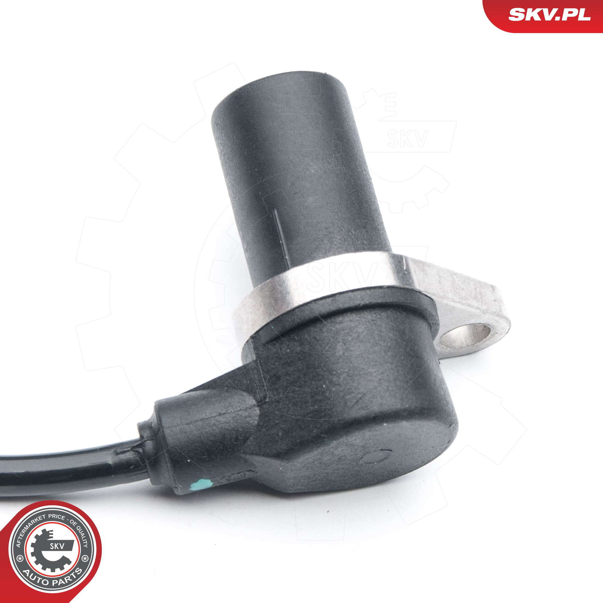 06SKV309_PROD_03