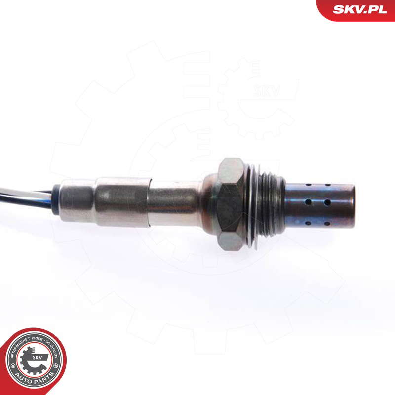 09SKV011_PROD_03