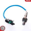 Sonde lambda