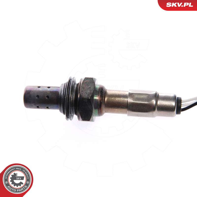 09SKV014_PROD_03