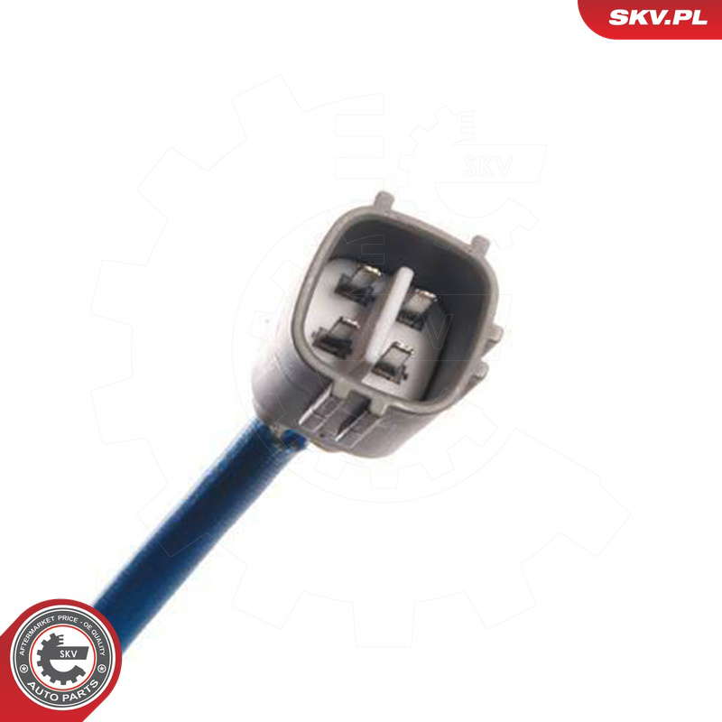 09SKV023_PROD_02