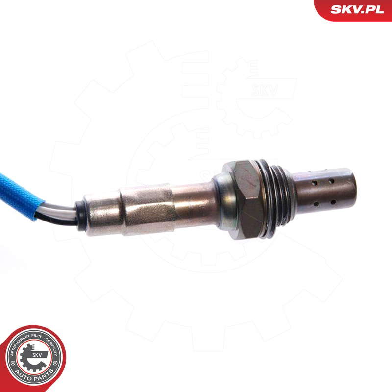 09SKV029_PROD_03
