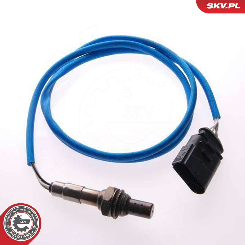 09SKV038_PROD_01