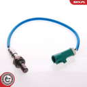 09SKV048_PROD_01