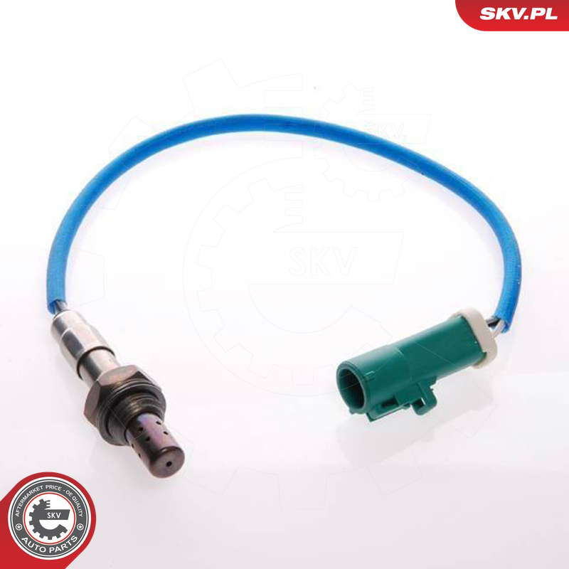 09SKV048_PROD_01