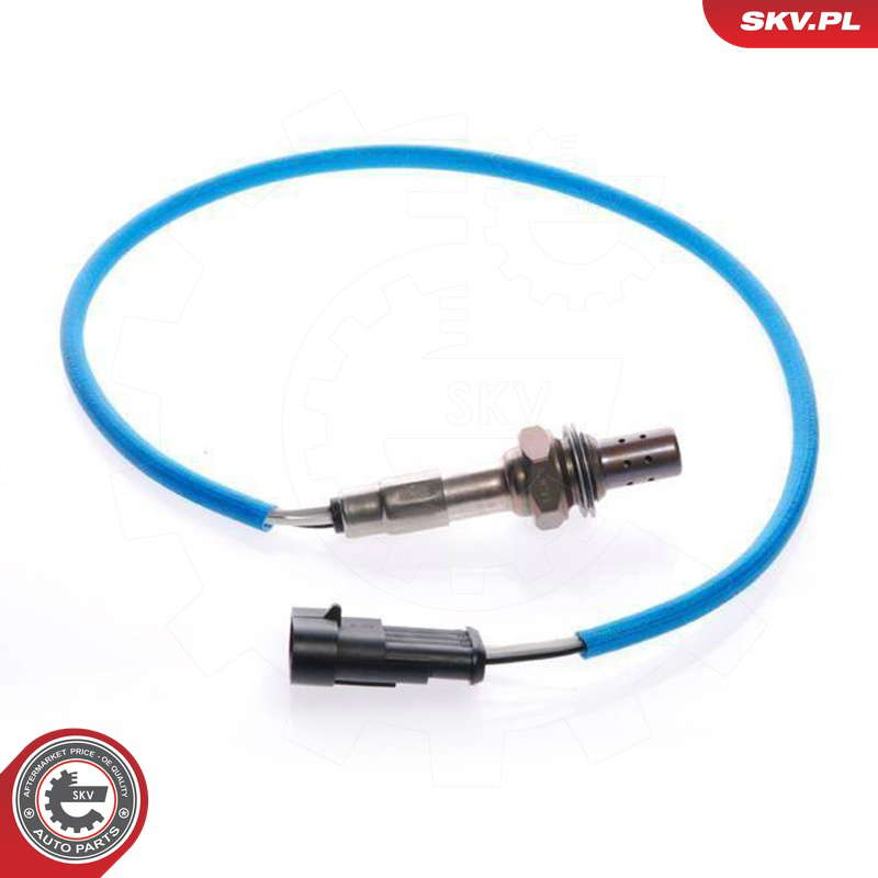 09SKV054_PROD_01