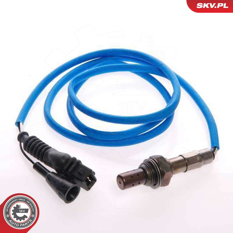 09SKV066_PROD_01