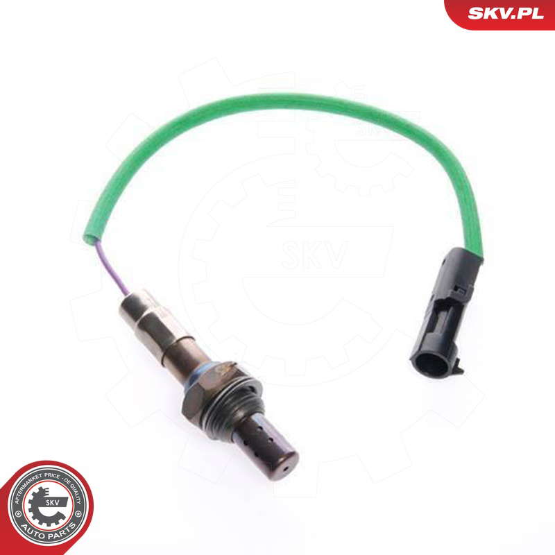 09SKV069_PROD_01