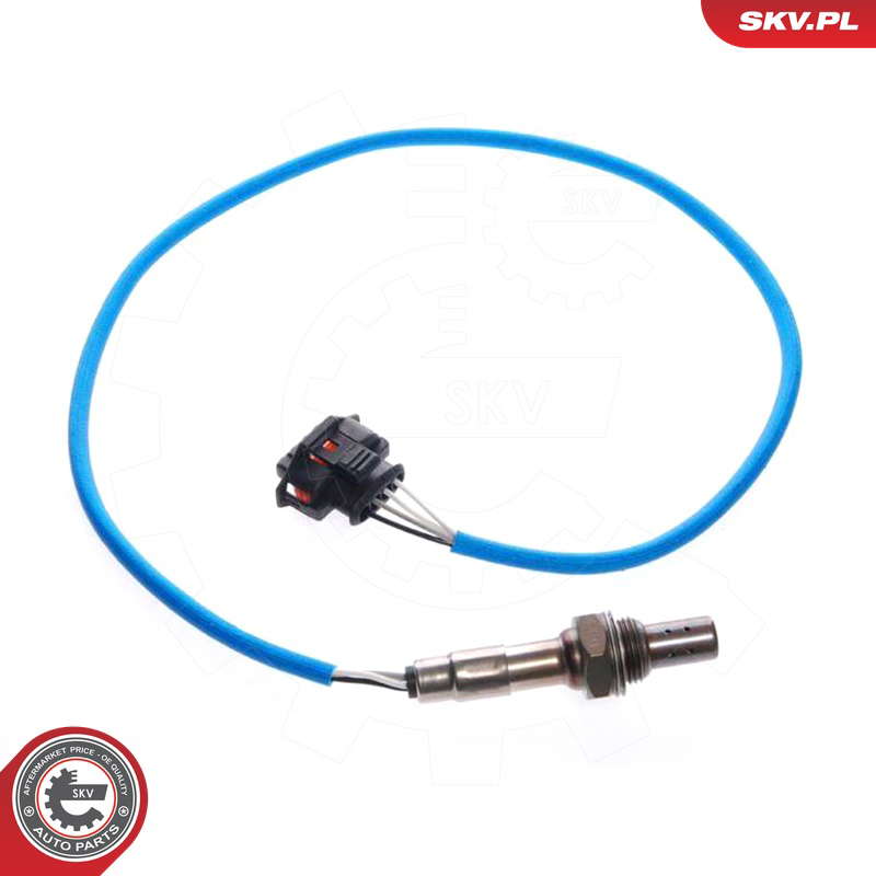 09SKV072_PROD_01